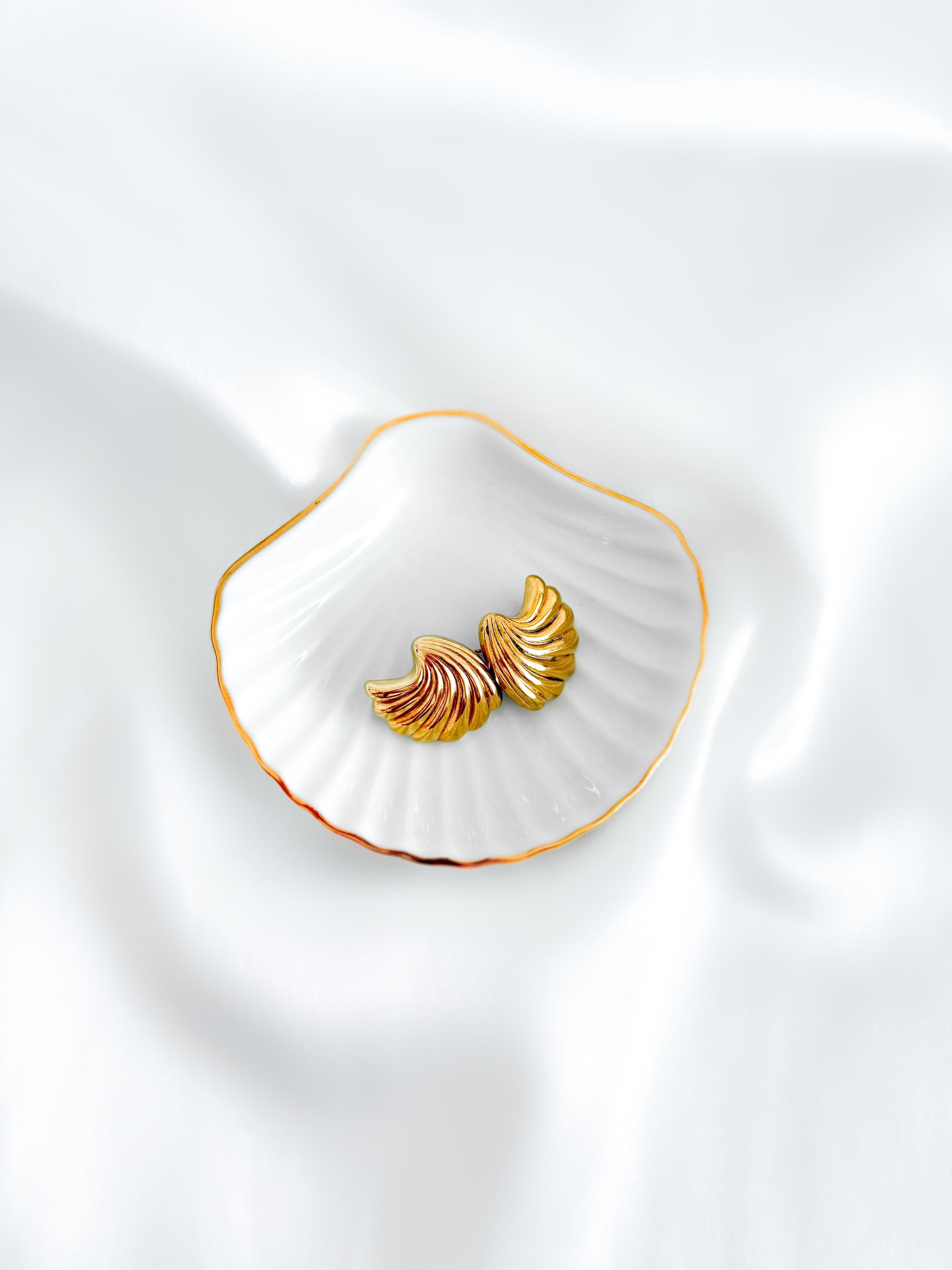 Sunset Shell