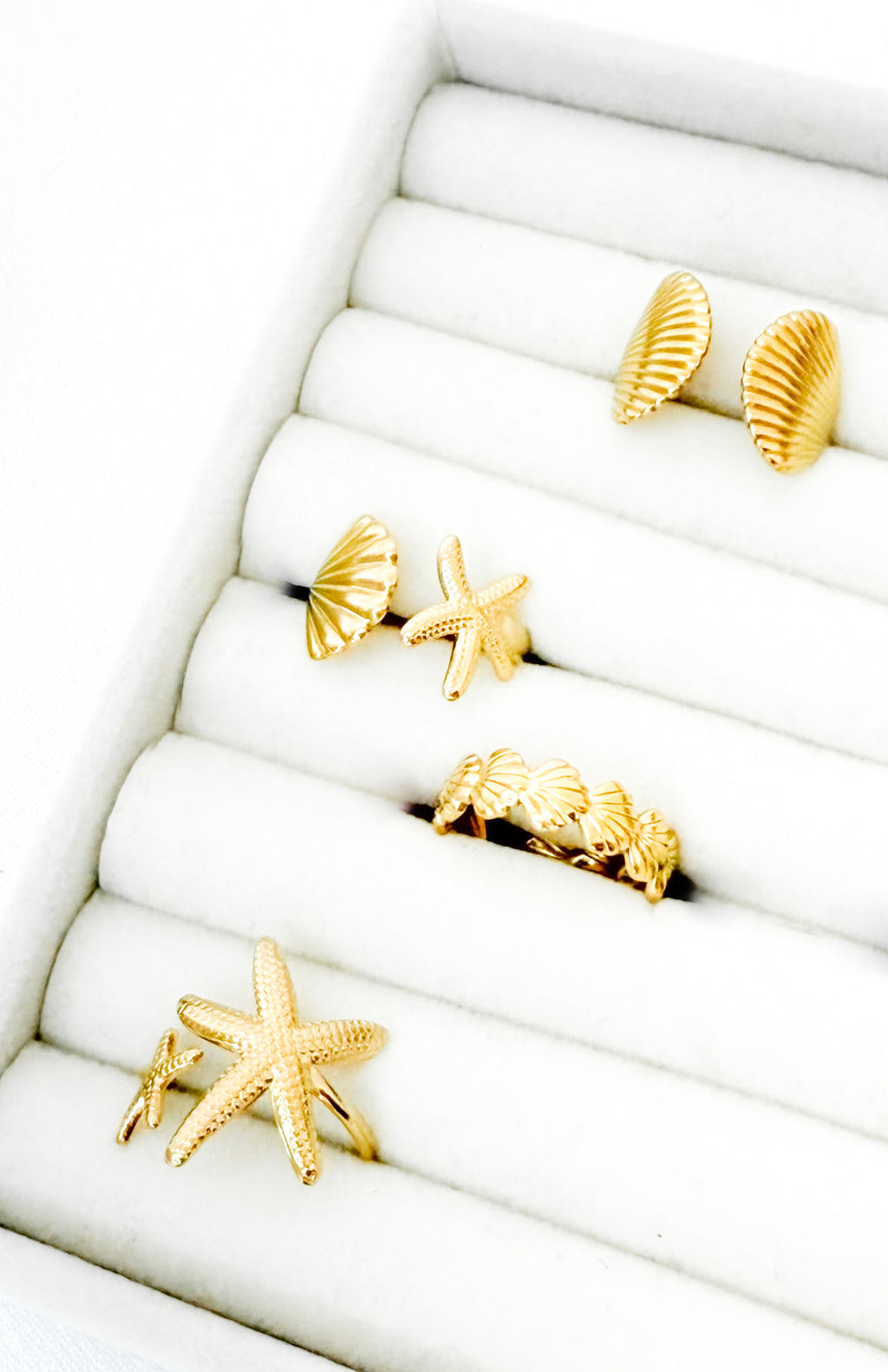 Shell Breeze