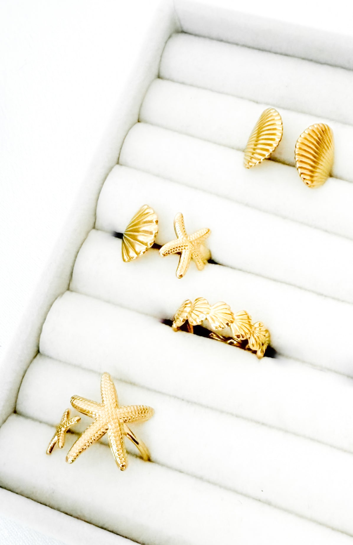 Shell Breeze